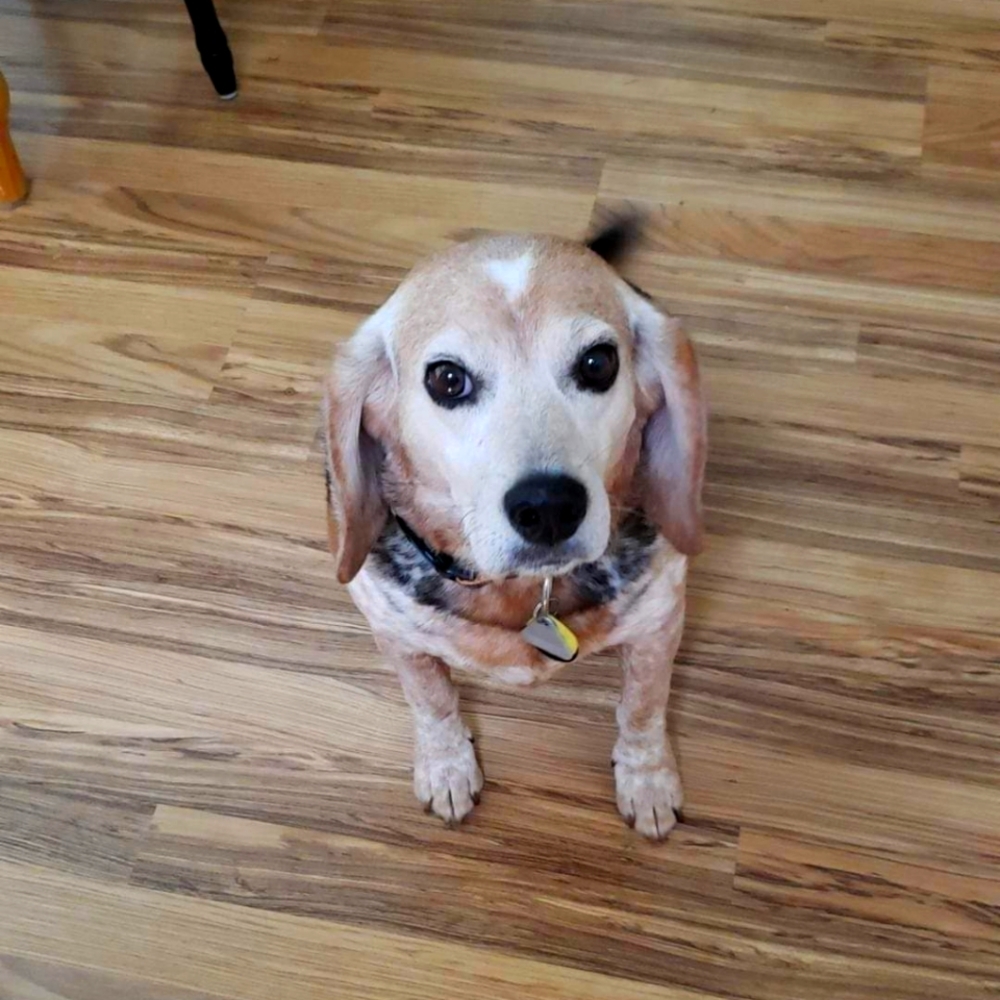 Meet your Posher, Shari